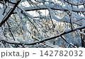 Winter Wonderland in the Park Filled With Snow Covered Trees and Bright Skies 142782032