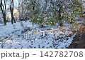 Winter Wonderland Journey Through a Serene Park Blanketed in Fresh Snow 142782708