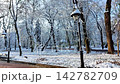 Winter Wonderland Stroll Through a Serene Park Blanketed in Snow 142782709