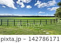 北海道北部馬場：一個可以欣賞馬匹和壯麗自然風光的旅遊牧場。 142786171