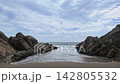 青森縣八戶市種佐海岸的海景和波浪景色 142805532