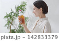 Woman drinking tea 142833379