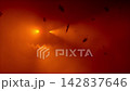 Glowing Halloween jack-o-lantern face in orange red fog with falling autumn leaves silhouettes. Spooky pumpkin glow atmospheric horror holiday background. Seamless loop 3d rendering animation. 142837646
