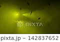 Glowing Halloween jack-o-lantern face in green fog with falling autumn leaves silhouettes. Spooky pumpkin glow atmospheric horror holiday background. Seamless loop 3d rendering animation. 142837652