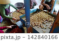 Workers with sieve separating peanut kernels from shells 142840166