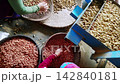 Women sort shelled peanuts squatting next to automated sieve 142840181