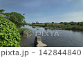 夏の多摩川タイムラプス 142844840