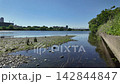 夏の多摩川タイムラプス 142844847