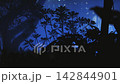 Tropical Plant Silhouettes at night in Blue mysterious fog from River of Life 142844901