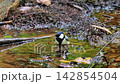 林の中の水たまりで水浴びするシジュウカラ 142854504
