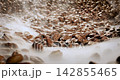 Steaming roasted coffee beans background with selective focus. 142855465
