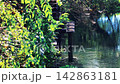 Watermill at Daio Wasabi Farm in Azumino City, Nagano Prefecture 142863181