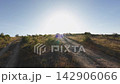 Dirt trail through steppe landscape at golden hour, serene journey forward tracking 142906066