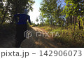Trail running woman pushing through golden hour forest trail with determination 142906073