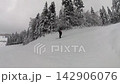 Adventurous Skier Enjoying Freeride in Deep Powder Snow Amidst a Beautiful Winter Forest 142906076