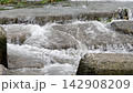 雨後大田河水位上升，河水湍急地流過堰壩。 142908209