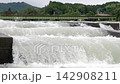 雨後大田河水位上升，河水湍急地流過堰壩。 142908211