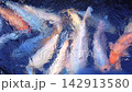 Koi fish swirl in blue water, their white and orange bodies overlapping in lively school. Rippling surface reflections create calm abstract pond scene with graceful motion and color. 142913580