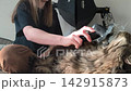Owner brushes neck of maine coon cat while it lies relaxed on floor. Large fluffy feline enjoys grooming process and stays calm indoors. Pet care routine comfort and bonding lifestyle 142915873