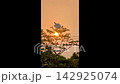 Sunset behind white rose flowers and branches 142925074