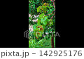 Green grape leaves growing on branch 142925176