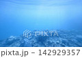 遠くにサンゴ礁が浮かぶ広大な青い水中の水柱 142929357