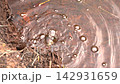 天然氣噴發的景象 142931659