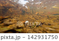 水下天然氣噴發的側面視圖。 142931750