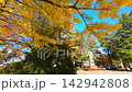 Autumn at Sendai Nishi Park [Sendai City, Miyagi Prefecture] 142942808