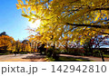 Autumn at Sendai Nishi Park [Sendai City, Miyagi Prefecture] 142942810