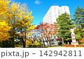 Autumn at Sendai Nishi Park [Sendai City, Miyagi Prefecture] 142942811