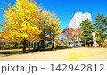 Autumn at Sendai Nishi Park [Sendai City, Miyagi Prefecture] 142942812