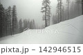 Skiing down a slope in foggy snowy woods 142946515