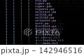 Computer console prompt system scan listing files on hard drive 142946516
