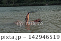 Using work laptop on the beach, in the water 142946519