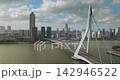 Rotterdam Erasmus bridge timelapse moving clouds 142946522