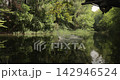 Jumping in the river from a tree platform, slow motion 142946524