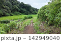 Rice paddies and lush green rural landscape of Nara-bai Valley - Machida City, Tokyo, Japan 142949040