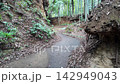 Onoji no Sekiya no Kiridoshi - Machida City, Tokyo, Japan 142949043