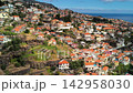 Panoramic view of colorful hillside houses, lush gardens under a bright blue sky in Funchal, Madeira, Portugal. 142958030