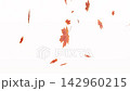 Animated autumn video background template with central copy space for text, featuring falling leaves on a bright white background. 142960215