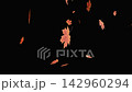 Animated autumn video background template with central copy space, featuring falling fall leaves on a dark background. 142960294