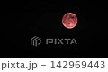 Pink blood moon isolated on dark black sky, lunar eclipse close-up Pink blood moon isolated on dark black sky, lunar eclipse close-up 142969443