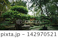 Chengdu, Sichuan, China. Garden Area Of Wuhou Memorial Temple. Ornamental Bonsai Tree. Comfortable Environment To Embrace Nature Chengdu, Sichuan, China. Garden Area Of Wuhou Memorial Temple. Ornamental Bonsai Tree. Comfortable Environment To Embrace Nature 142970521