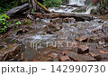 Scenic Huai Nam Yen Waterfall cascading through lush tropical rainforest in the rainy season in Omkoi District Chiang Mai, Thailand 142990730