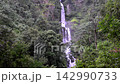 Scenic Huai Nam Yen Waterfall cascading through lush tropical rainforest in the rainy season in Omkoi District Chiang Mai, Thailand 142990733