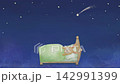 流れ星の輝く夜空の下ですやすや眠る子うさぎのループアニメーション。睡眠・夢を表現した幻想的な映像。 142991399