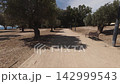Walking along the Costa Blanca pathway near the beach in Benidorm 142999543