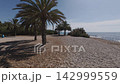 Exploring the Costa Blanca coastline in Benidorm with palm trees and rocky beach 142999559