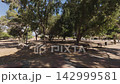 Exploring the parks along the Costa Blanca coastline in Benidorm 142999581